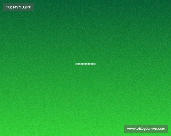 荣耀巅峰：全球顶级踢拳争霸战